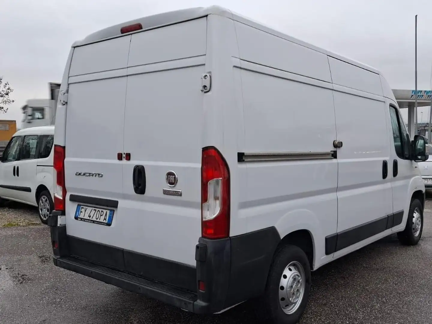 Immagine 5